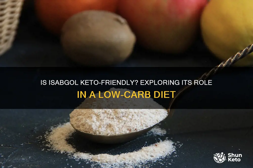 is isabgol allowed in keto diet
