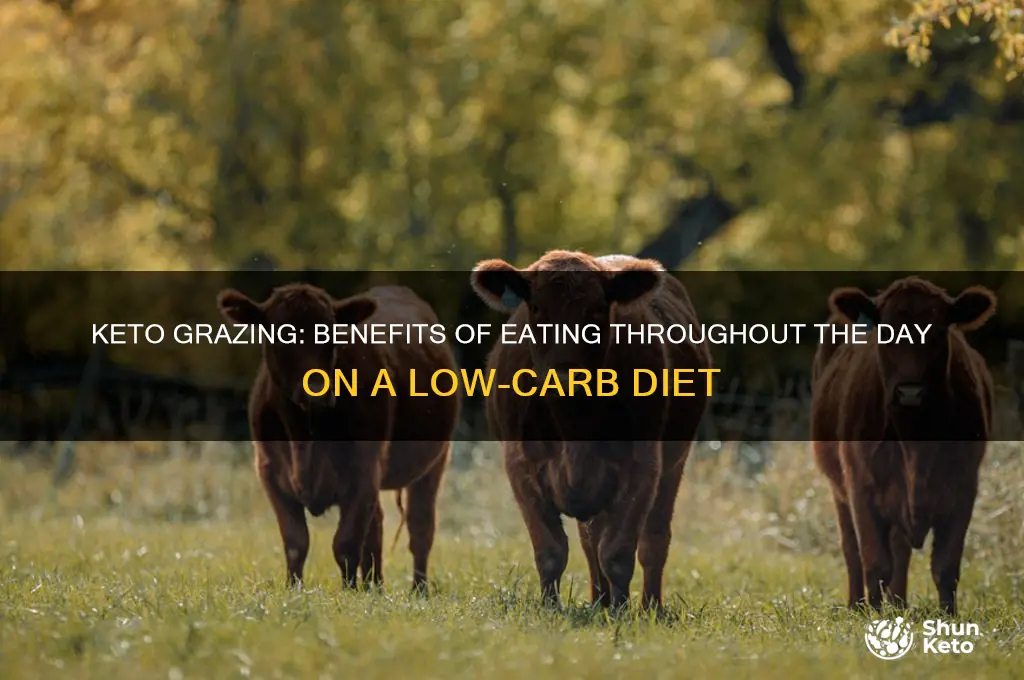 is it good to eat throughout the day on keto