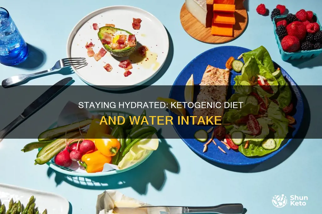 is it necessary to drink water on a ketogenic diet