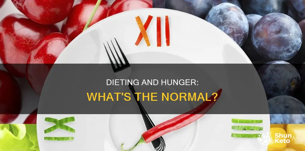 is it normal to feel hungry when starting a diet