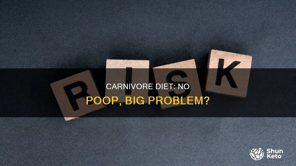 is it normal to not poop on carnivore diet