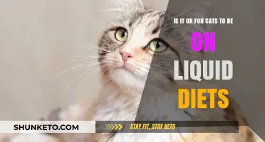Liquid Diets for Cats: Safe or Not?