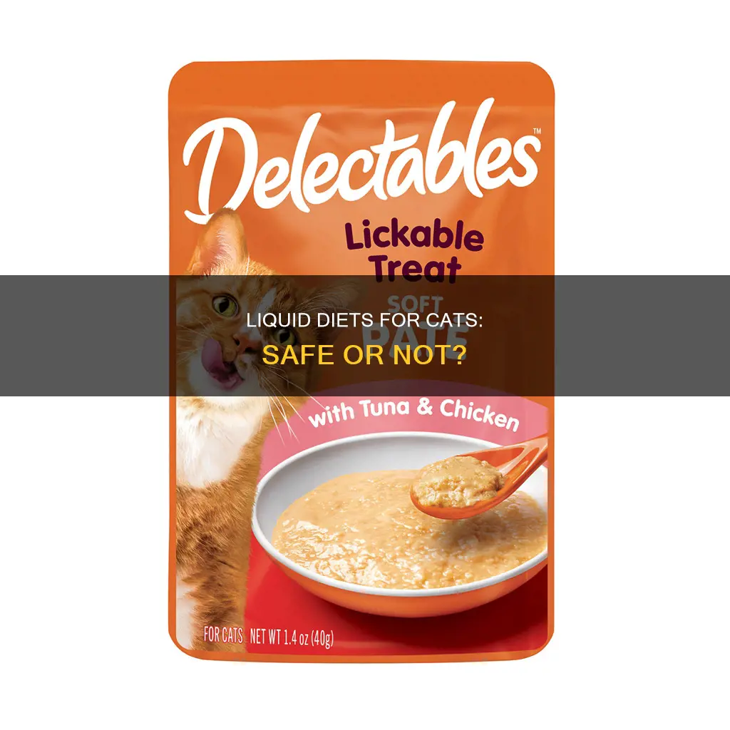 is it ok for cats to be on liquid diets