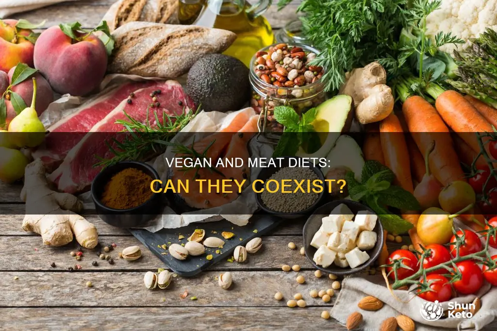 is it ok to balance a vegan and meat diet