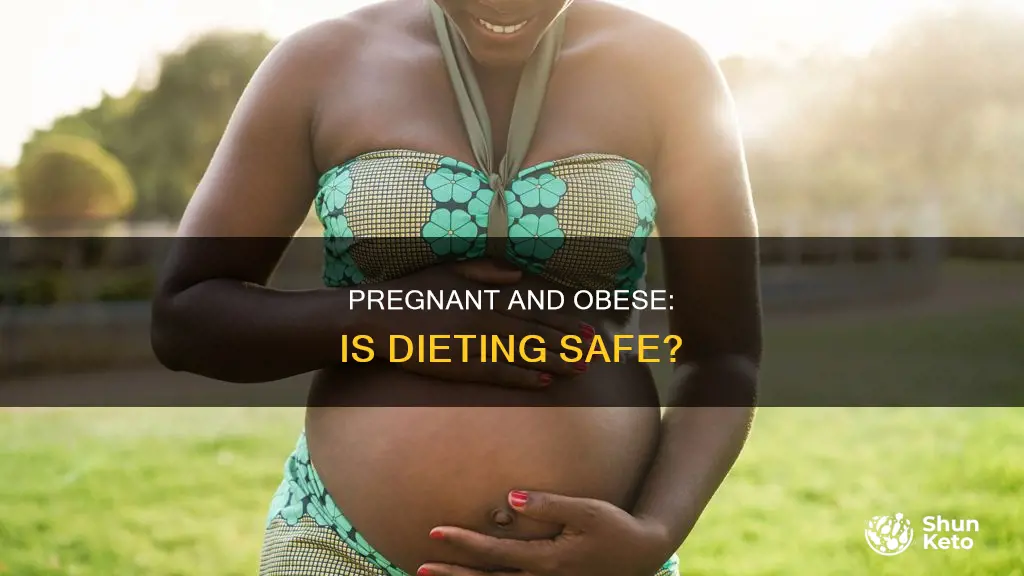 is it ok to diet while pregnant if obese