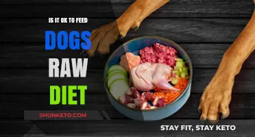 Raw Diets for Dogs: Safe or Not?