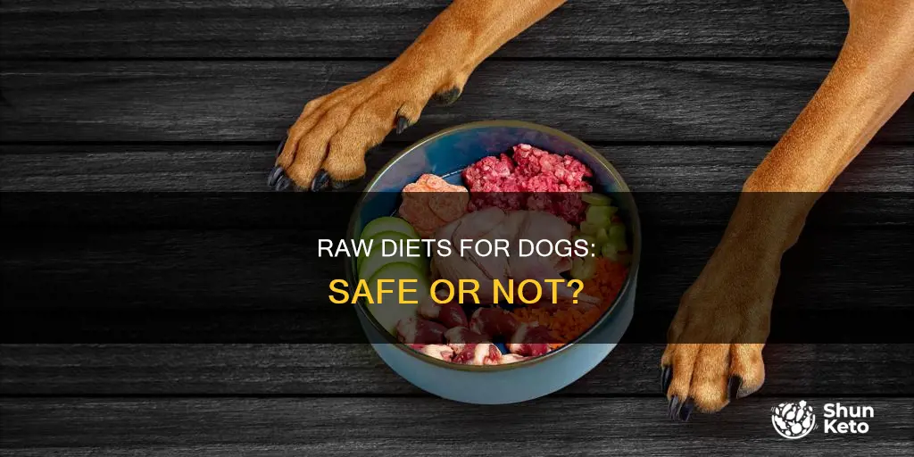 is it ok to feed dogs raw diet