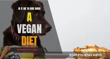 Vegan Diets for Dogs: Healthy or Harmful?