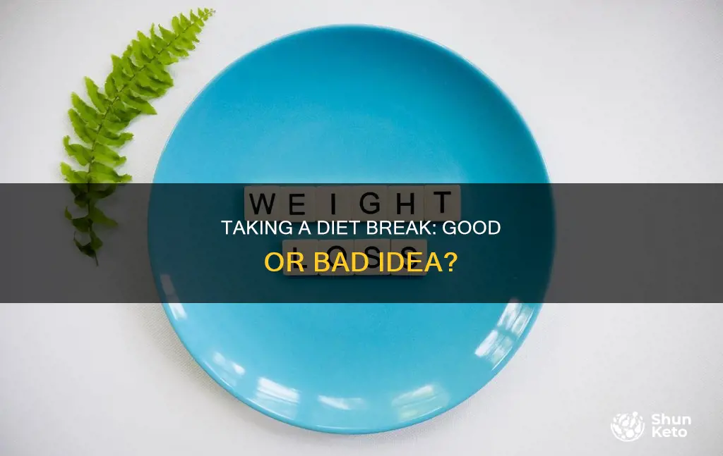 is it ok to take a break from dieting