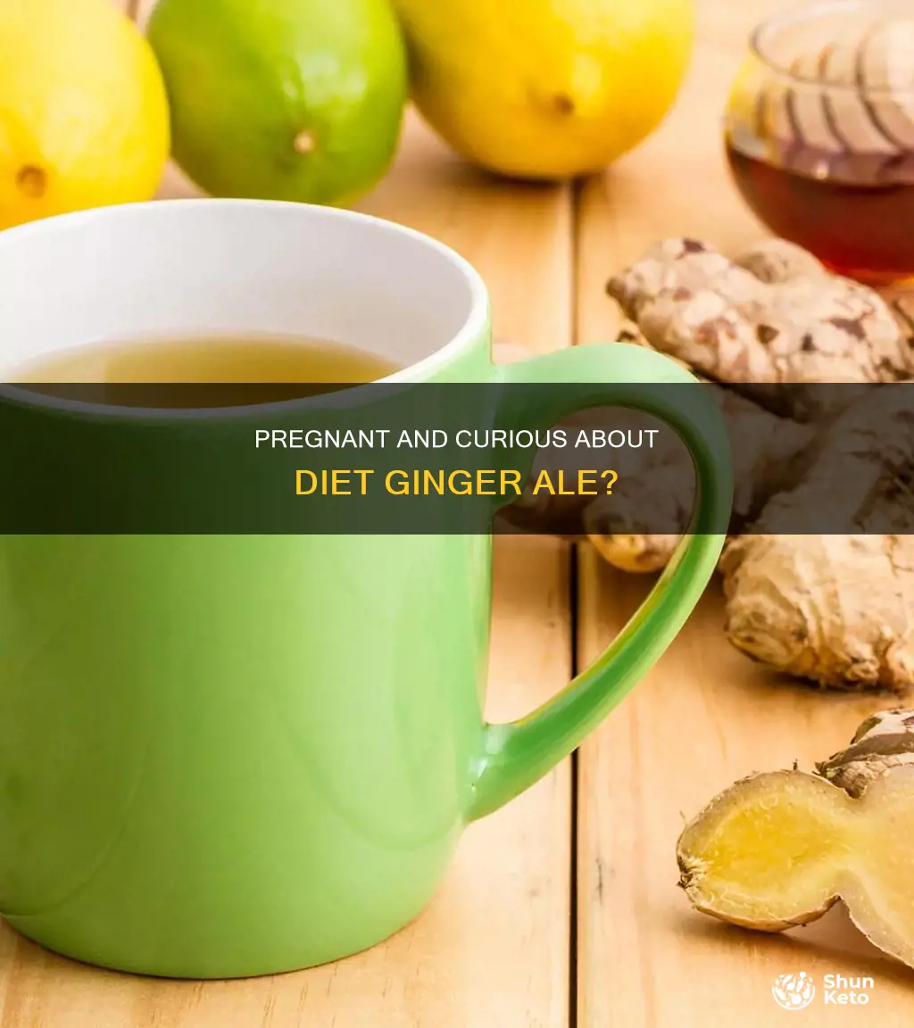is it okay to drink diet ginger ale while pregnant