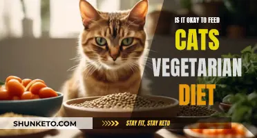 Cats and Vegetarian Diets: A Healthy Choice?