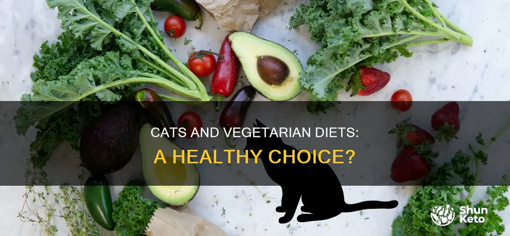 is it okay to feed cats vegetarian diet