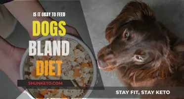 Bland Diet for Dogs: Good or Bad Idea?