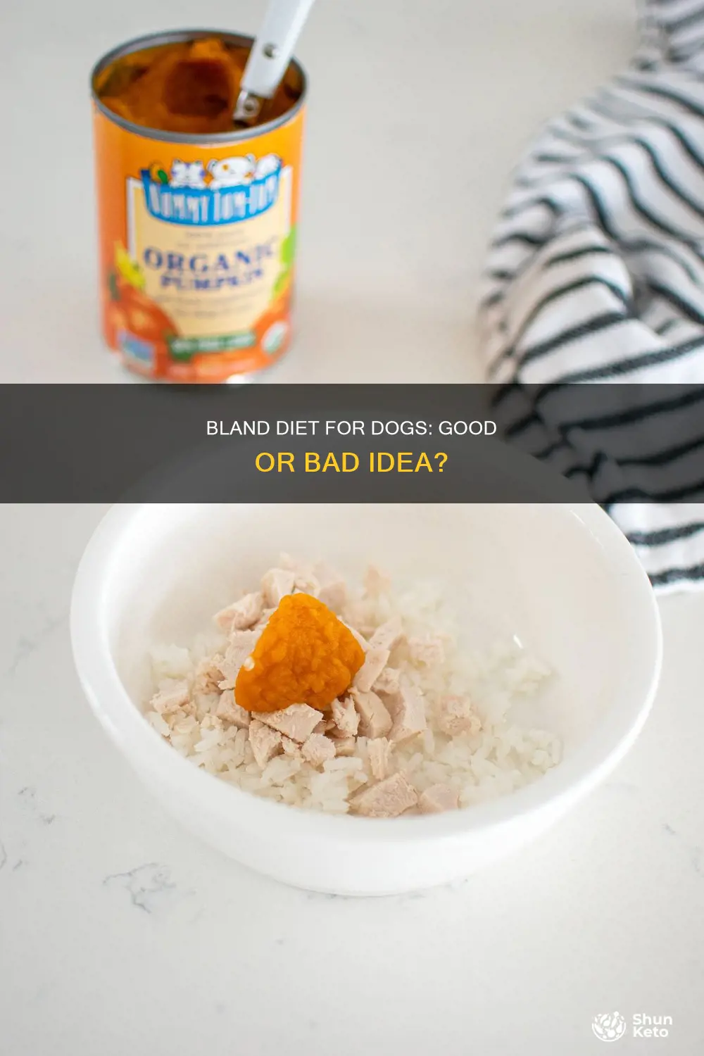 is it okay to feed dogs bland diet