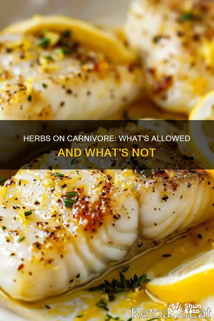 is it okay to use herbs with the carnivore diet
