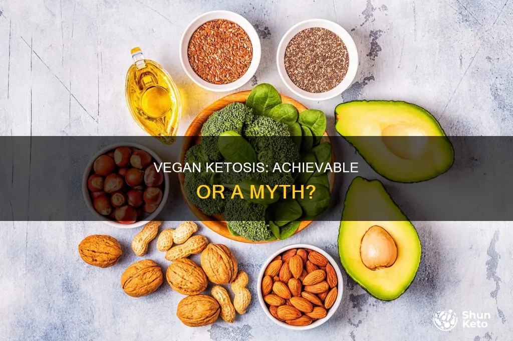 is it possible to acheive ketosis with vegan diet