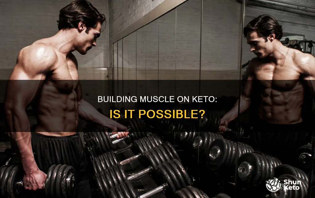 is it possible to build muscle on a ketogenic diet