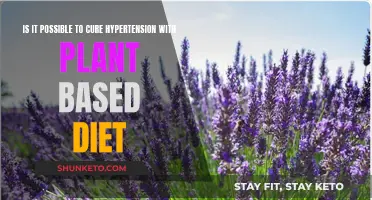 Hypertension and Plant-Based Diets: A Natural Cure?