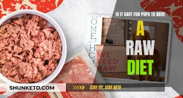 Raw Diets for Pups: Safe or Not?