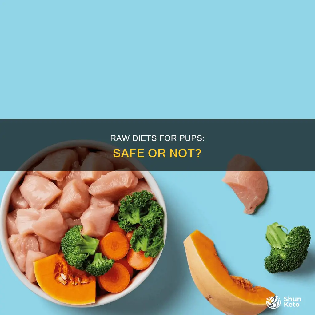 is it safe for pups to have a raw diet