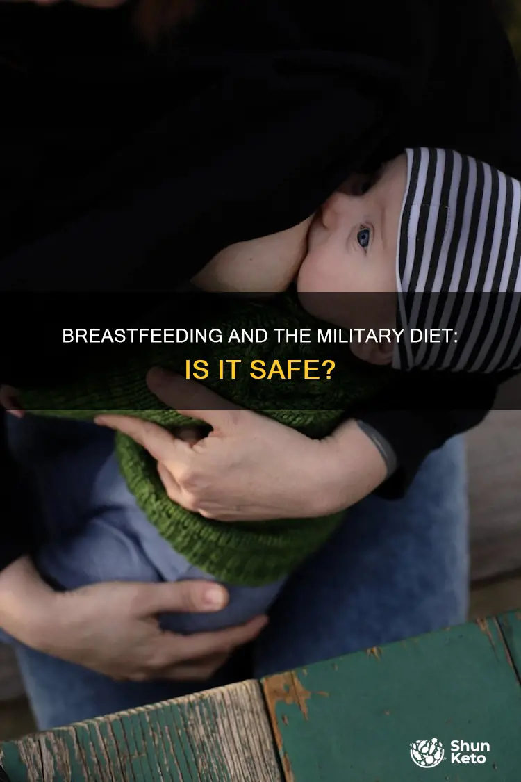is it safe to do the military diet while breastfeeding