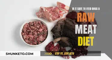 Raw Meat Diet for Dogs: Safe or Not?