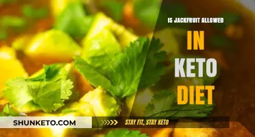 Can Jackfruit Fit into a Keto Diet? Nutrition Facts Explained