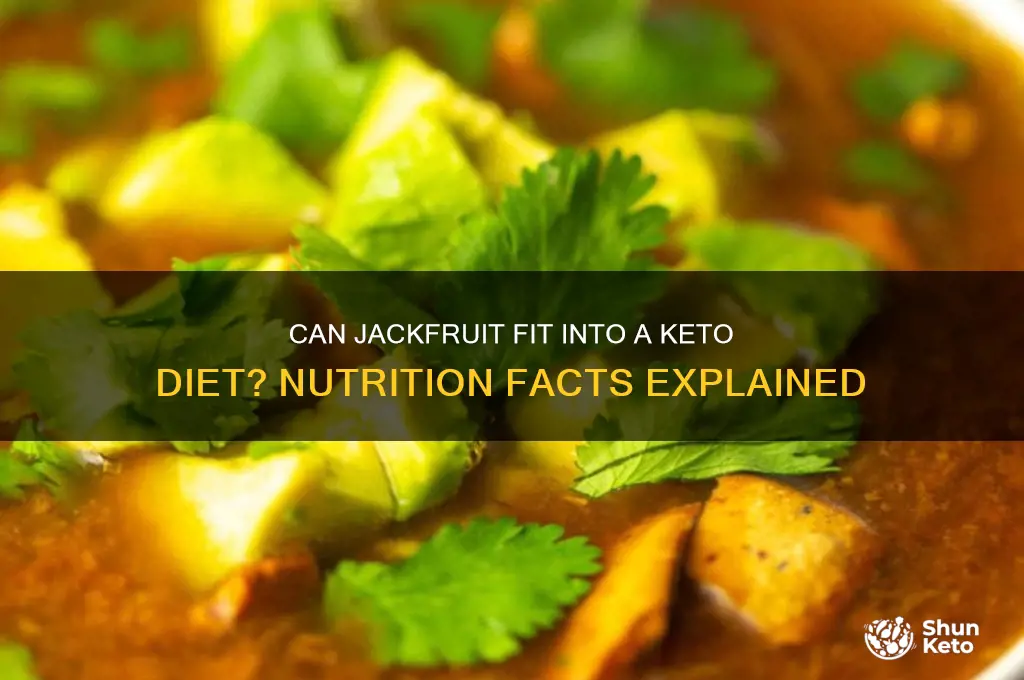 is jackfruit allowed in keto diet