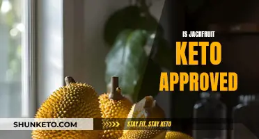 Jackfruit and Keto: A Match Made in Heaven?