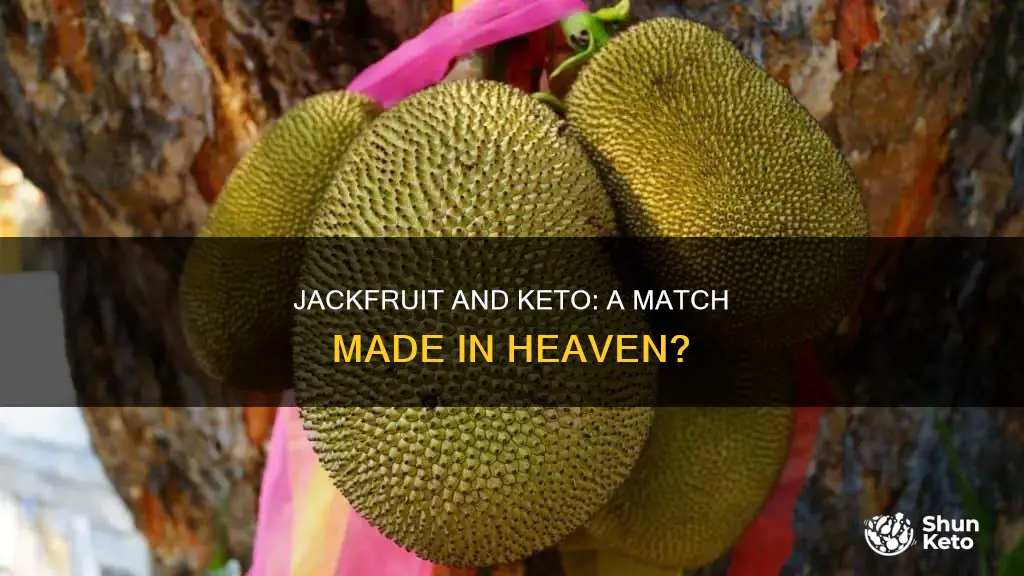 is jackfruit keto approved