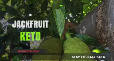Is Jackfruit Keto-Friendly? Unraveling the Low-Carb Mystery