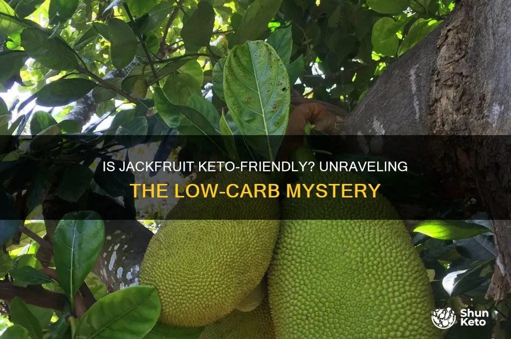 is jackfruit keto