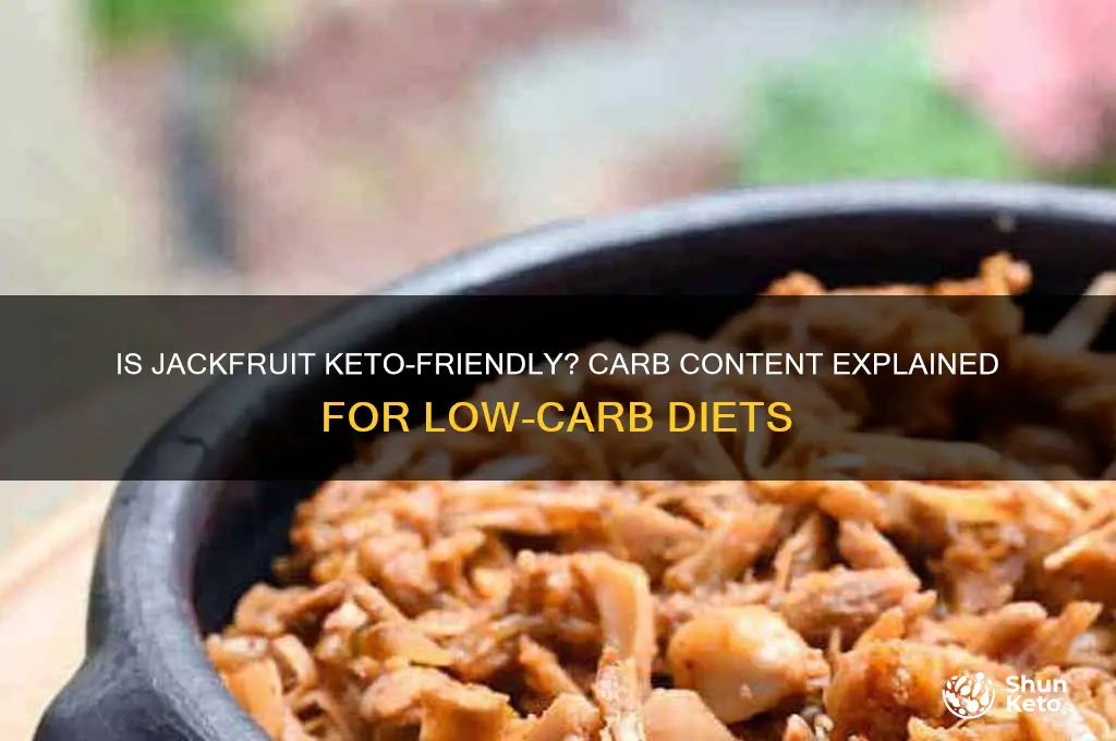 is jackfruit low in carbohydrates for a keto diet