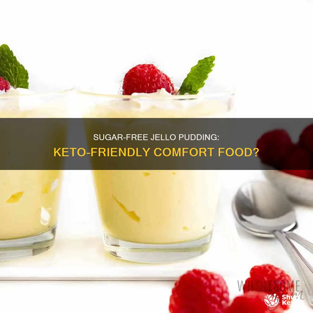 is jello sugar free cook and serve pudding keto