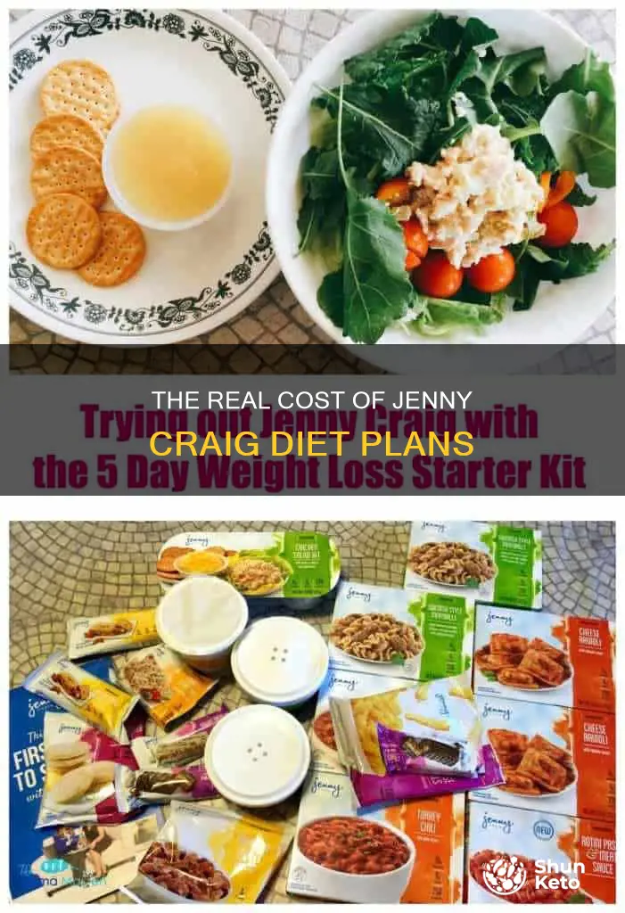 is jennu craig diet cost effective