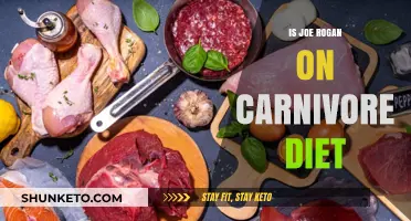 Joe Rogan's Carnivore Diet: What's the Deal?