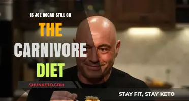 Joe Rogan's Carnivore Diet: Still Going Strong?