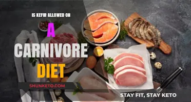 Carnivore Diet and Kefir: A Match?