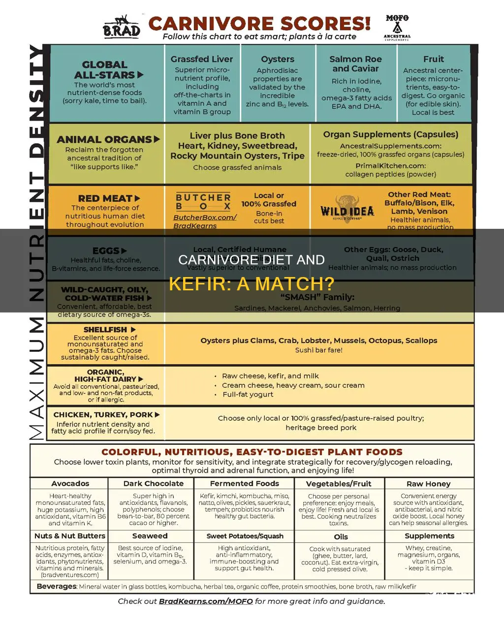 is kefir allowed on a carnivore diet