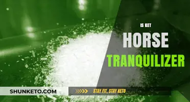 Is Ketamine a Horse Tranquilizer? Separating Fact from Fiction