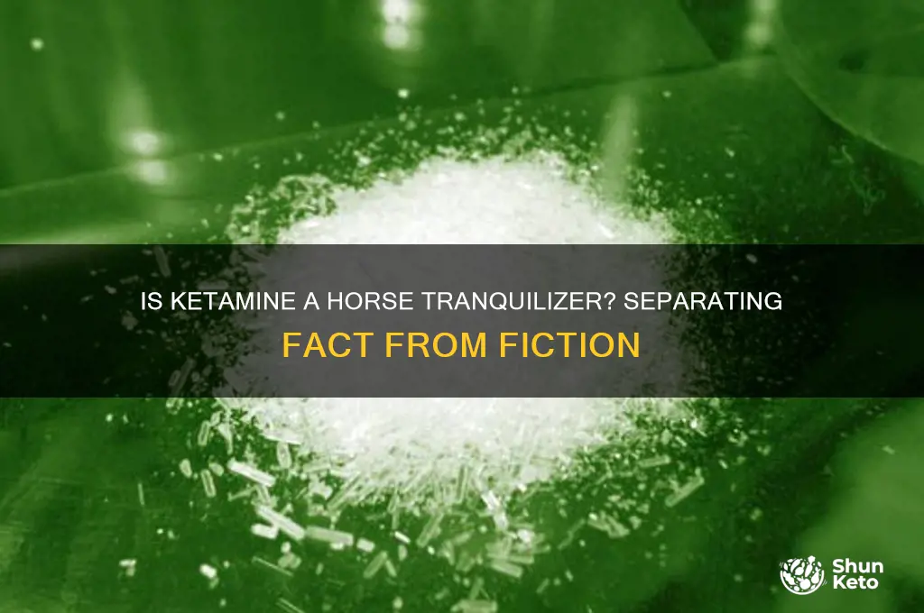 is ket horse tranquilizer