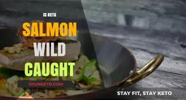Is Keta Salmon Wild Caught? Unveiling the Truth Behind the Catch