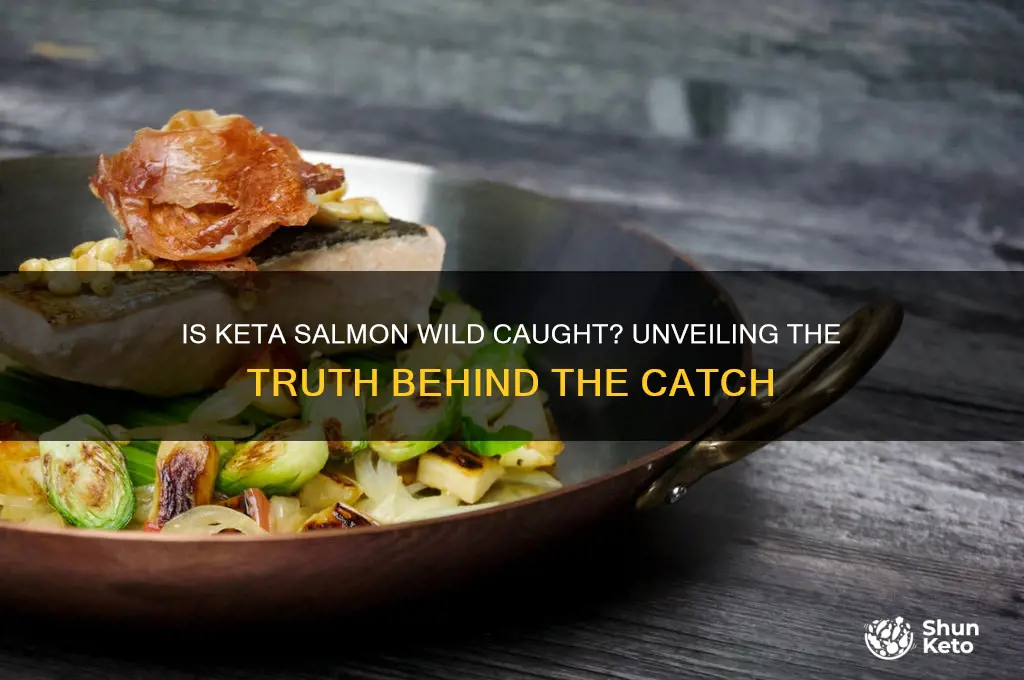 is keta salmon wild caught