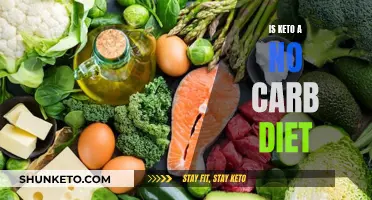 Keto Diet: Carb-Free or Carb-Light?