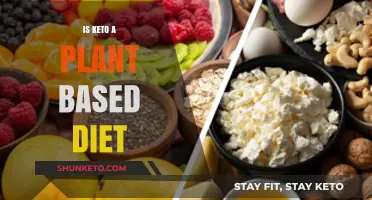 Is Keto Plant-Based? Debunking Myths About the Ketogenic Diet
