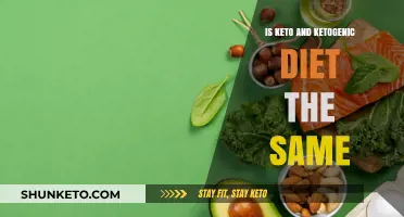 Keto vs. Ketogenic Diet: Understanding the Same Concept, Different Names
