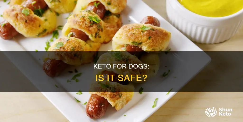 is keto bad for dogs