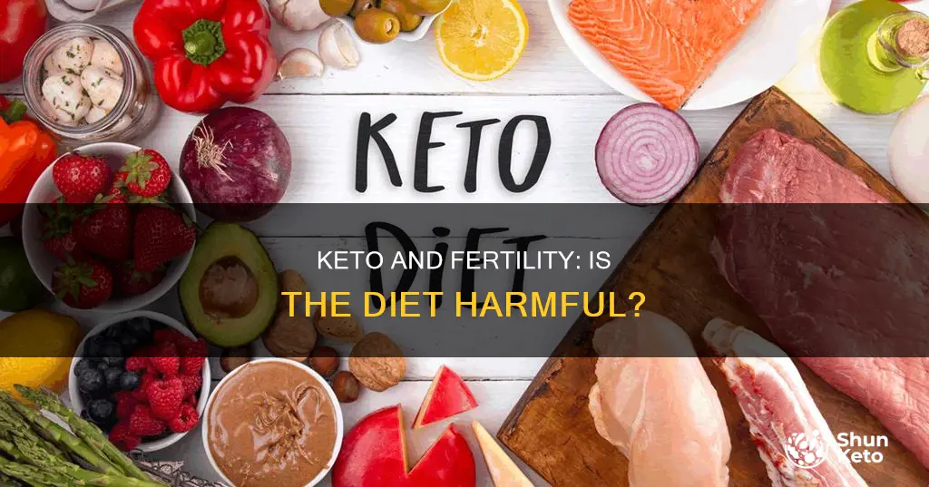 is keto bad for fertility