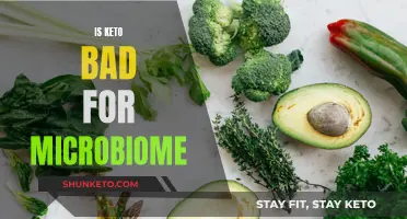 Keto Diet: Friend or Foe of Your Microbiome?