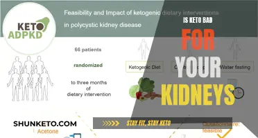 Keto and Kidney Health: What's the Real Risk?